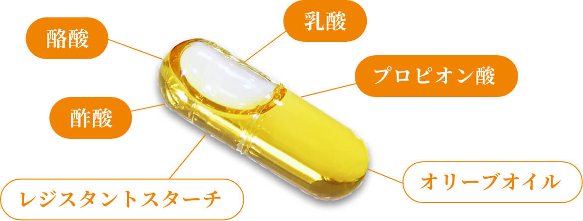 フィッシュゼラチンのハードカプセル1粒に、0.5mlの酪酸菌共棲発酵エキスを濃縮して配合